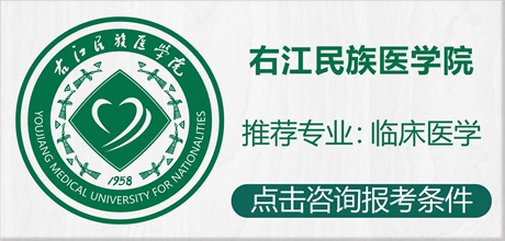 右江民族医学院
